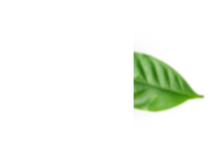 Green leaf icon